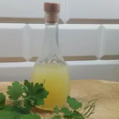 Balsam Bołotowa na co pomaga - odkryj jego niezwykłe właściwości zdrowotne