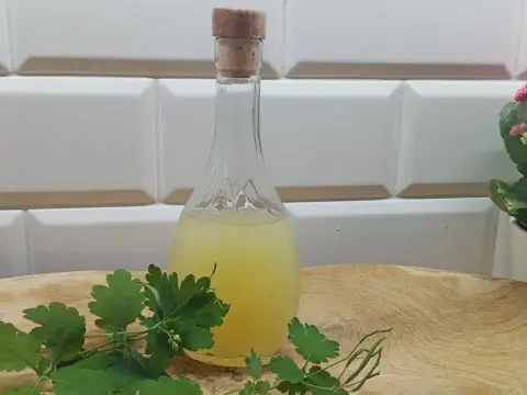 Balsam Bołotowa na co pomaga - odkryj jego niezwykłe właściwości zdrowotne