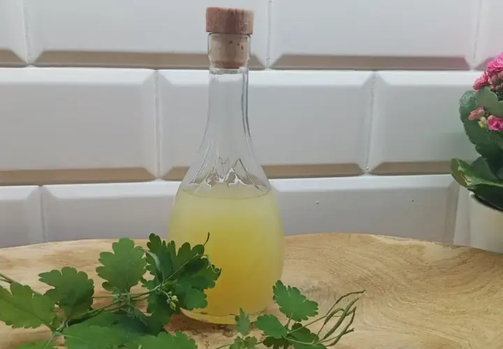 Balsam Bołotowa na co pomaga - odkryj jego niezwykłe właściwości zdrowotne