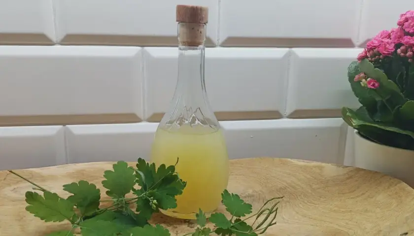 Balsam Bołotowa na co pomaga - odkryj jego niezwykłe właściwości zdrowotne