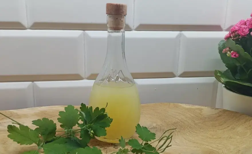 Balsam Bołotowa na co pomaga - odkryj jego niezwykłe właściwości zdrowotne